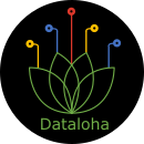 Dataloha, expert de la valorisation de vos donnees